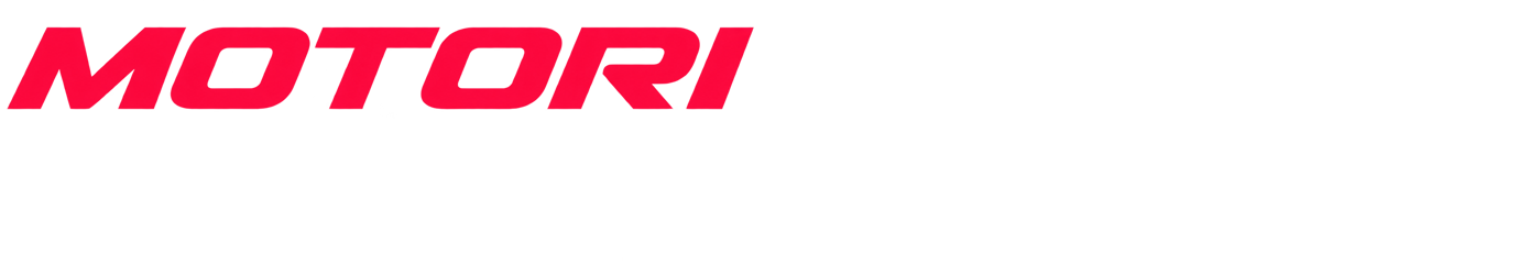 Motori Usati
